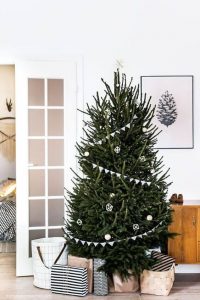 Cómo cuidarlo, cuánto tiempo dura, dónde colocarlo Todo lo que deberías  saber si te estás planteando comprar un árbol de Navidad natural para  decorar tu hogar