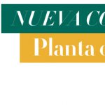 CABECERA_PLANTA_INTERIOR_BLOG