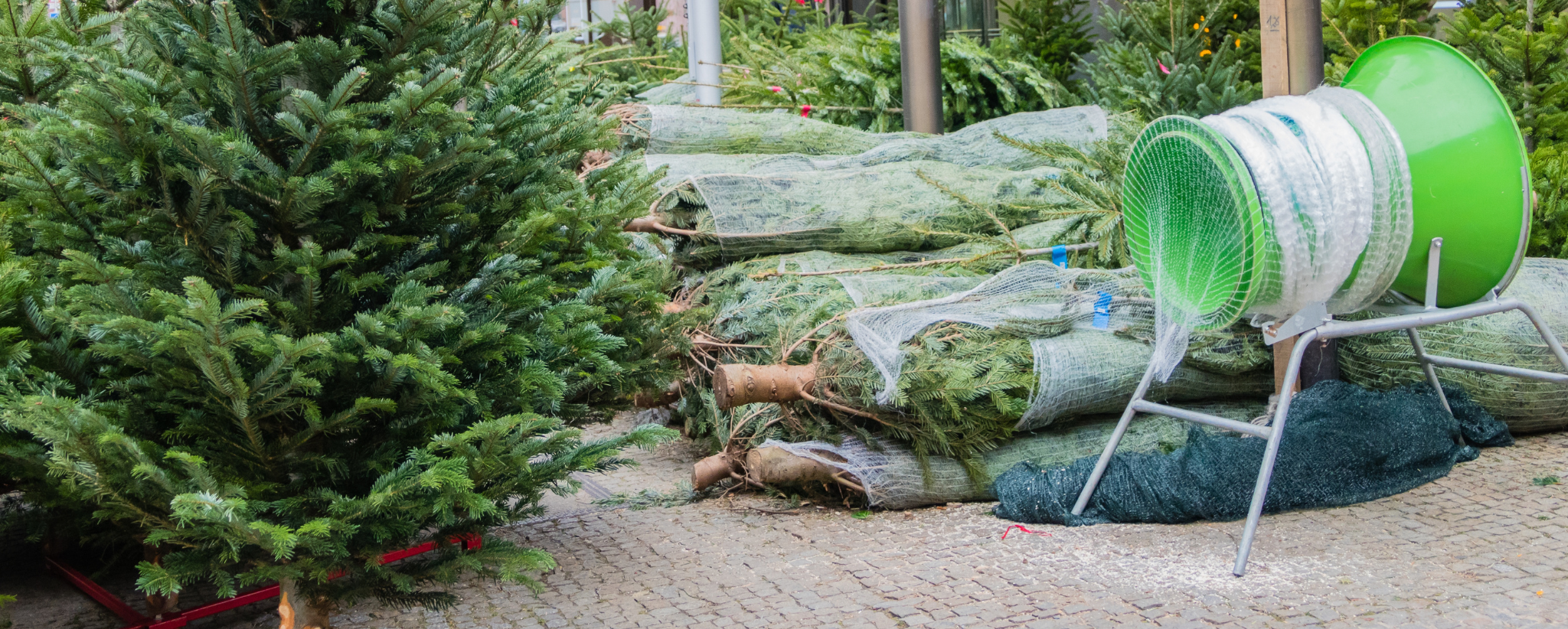 arbol navidad portada