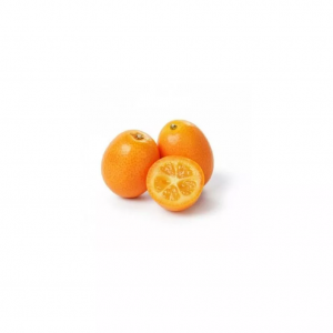 cítrico kumquat viveros civercid