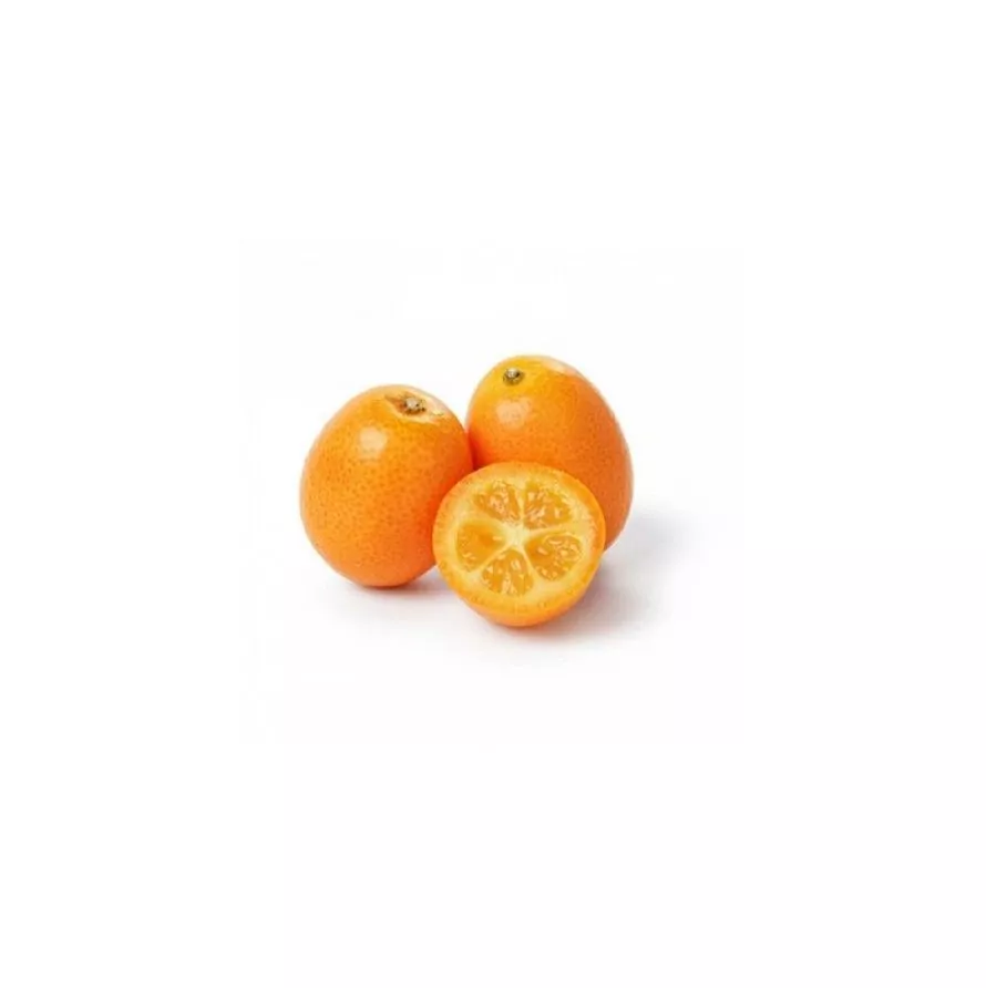 cítrico kumquat viveros civercid