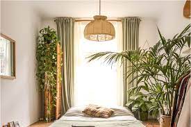 6 plantas para dormitorio que te ayudarán a dormir - Loverty